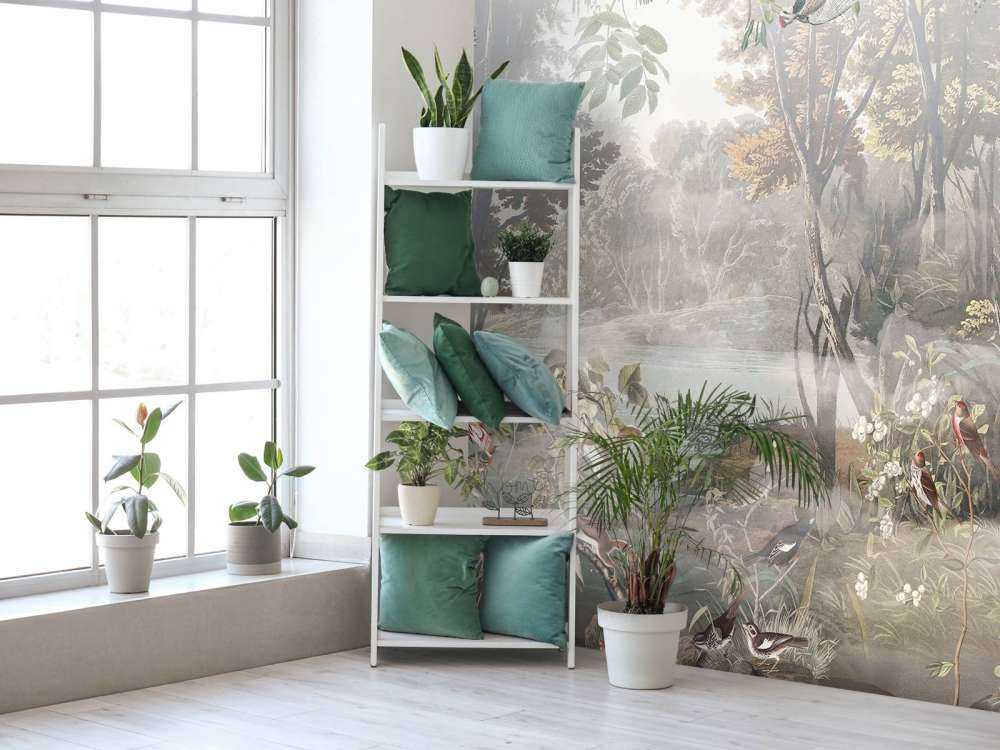 Oiseaux de la forêt mystique