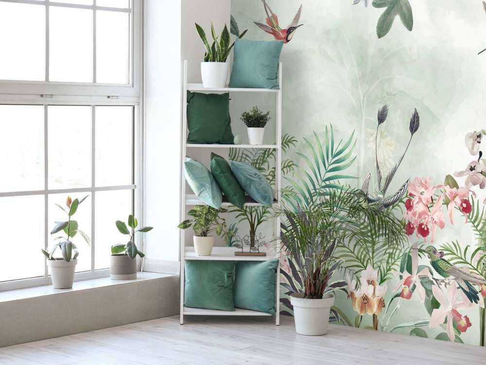 Tropic and Orchids 3