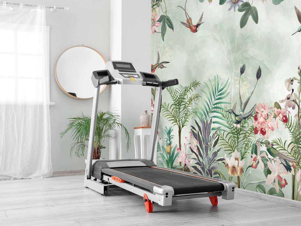 Tropic and Orchids 3