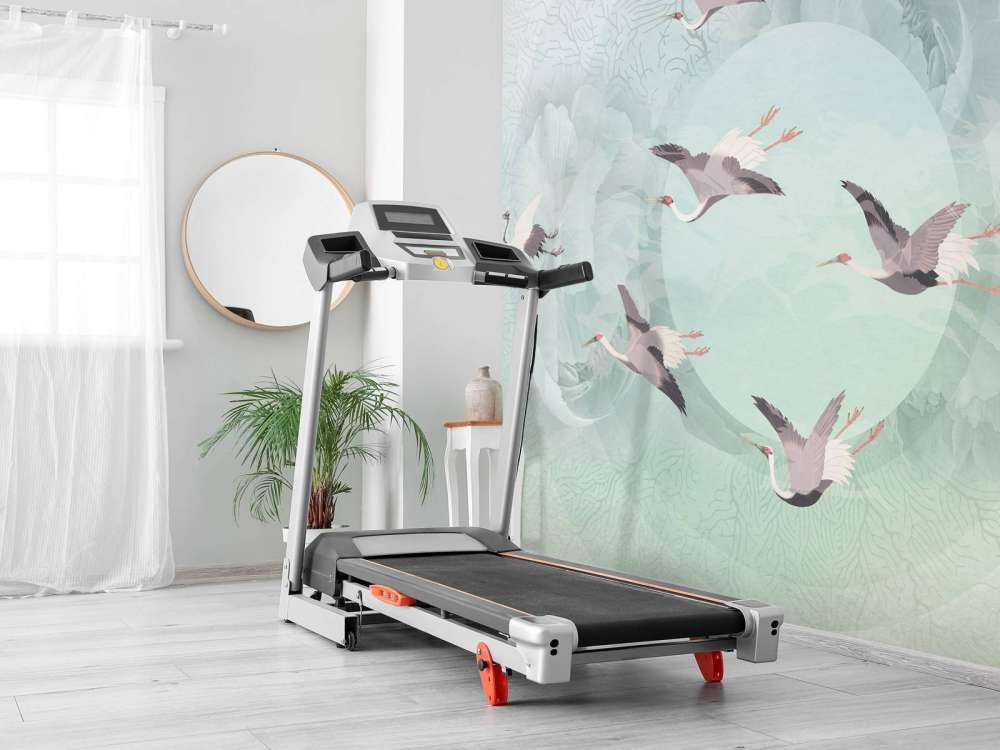 Serenity 5
