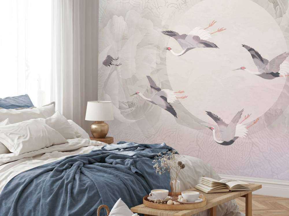 Serenity 6