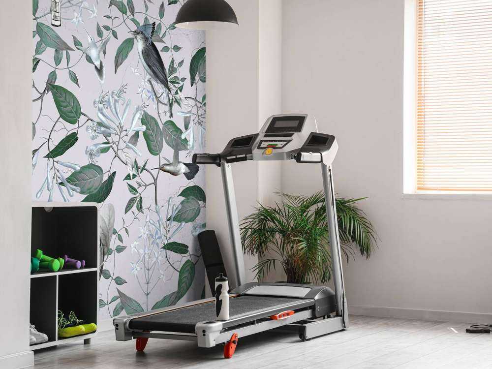 Tescoma Paradis des Oiseaux - Brume de Lavande