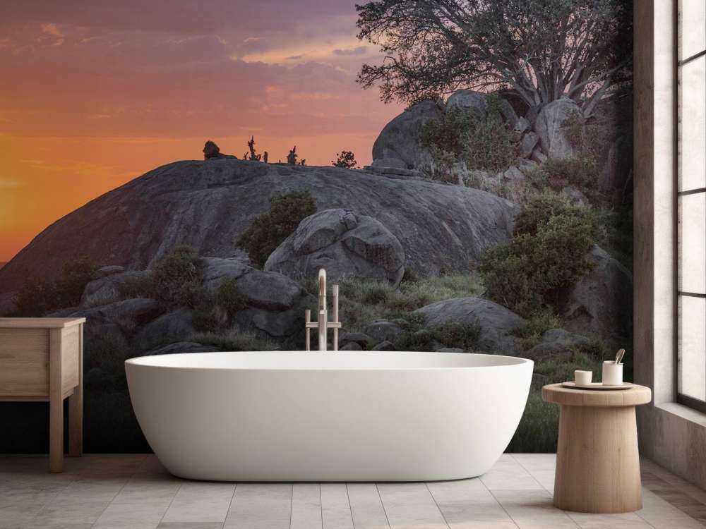 Coucher de soleil sur la savane