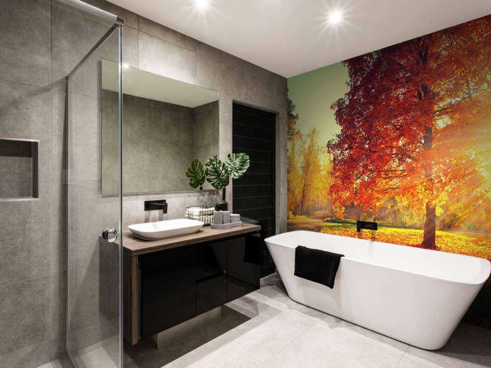 Arbres d'automne au soleil