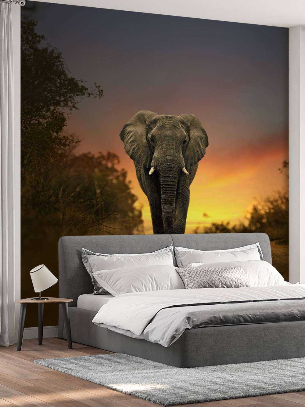 Eléphant au coucher du soleil