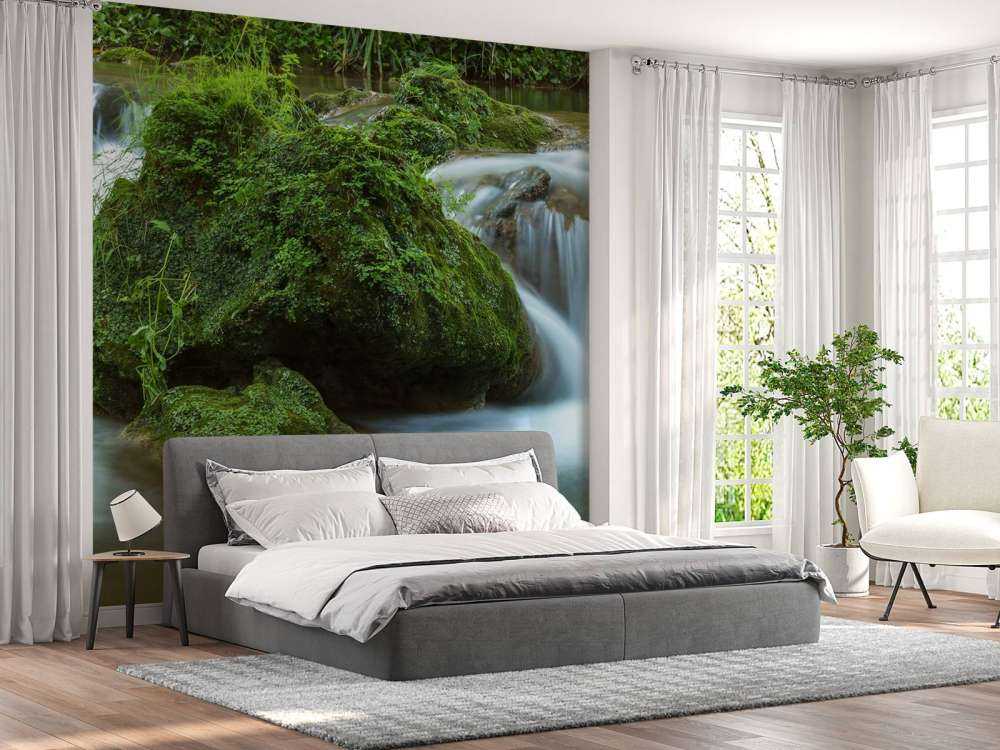 Chute d'eau dans la forêt