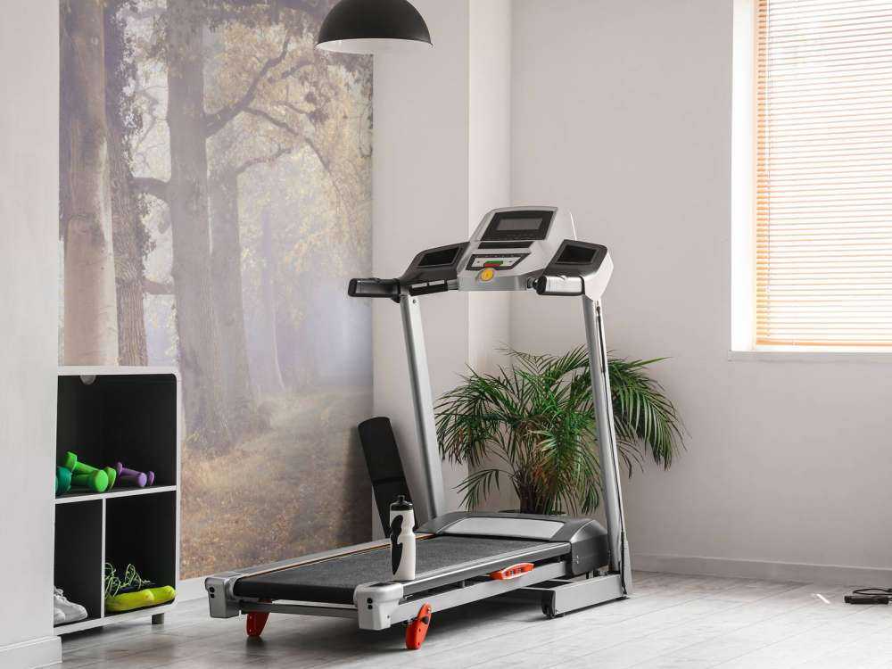 Route brumeuse avec des arbres