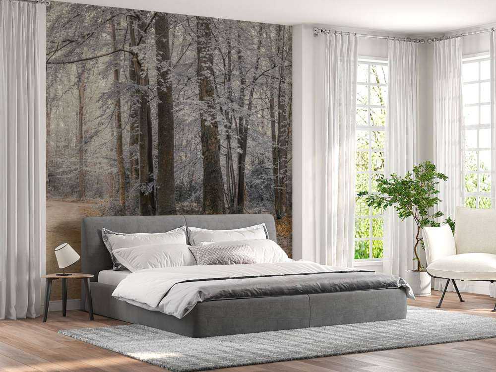 arbres avec des feuilles blanches