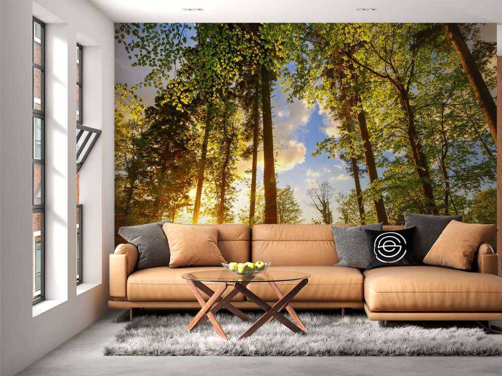 Coucher de soleil à travers les arbres