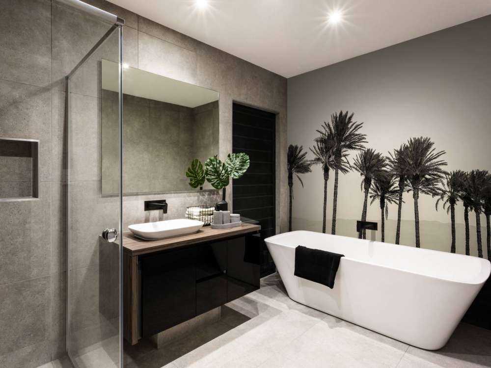 Palmiers noir et blanc