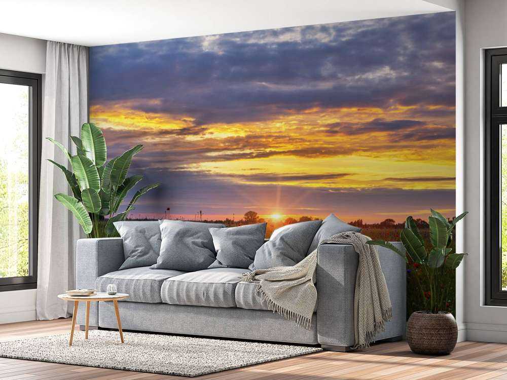 Paysage de coquelicots