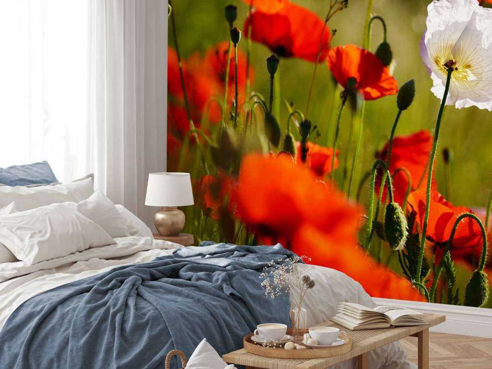 Groupe de coquelicots