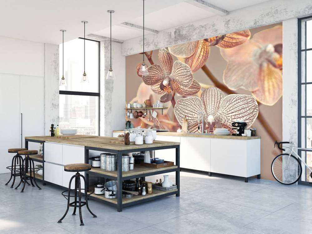 Gros plan d'orchidée