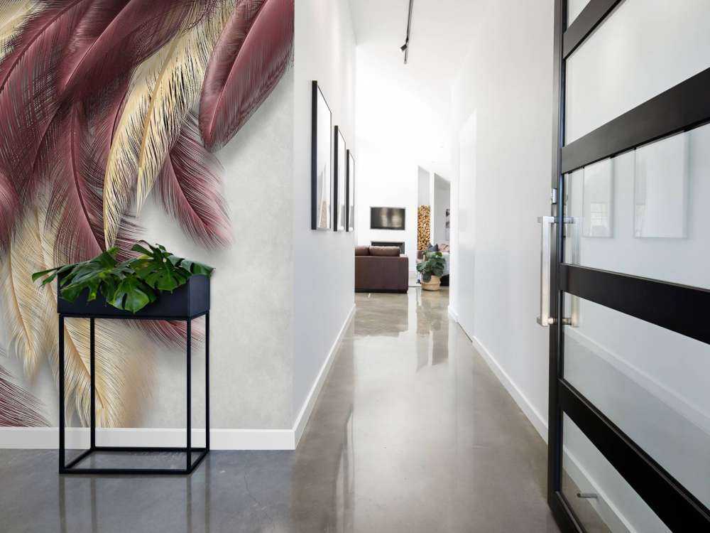 Plumes sur du béton