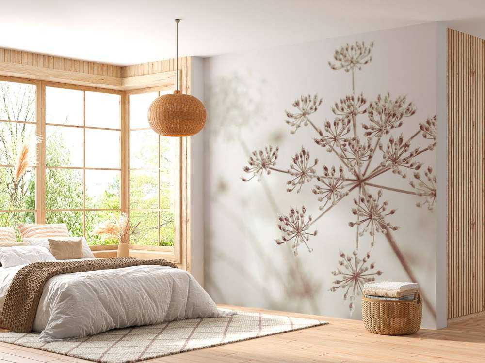 Cerfeuil sauvage en gros plan