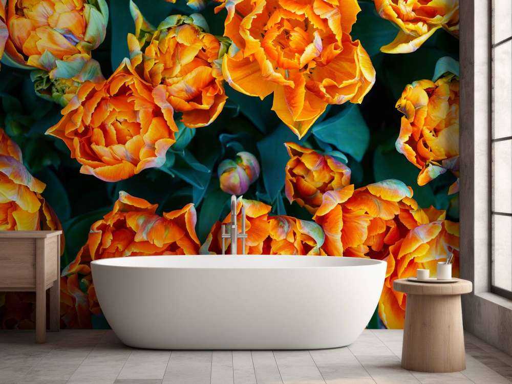 Gros plan sur des tulipes orange