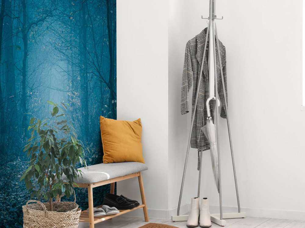 Chemin de la forêt bleue