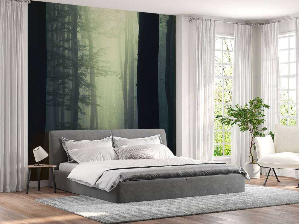 Rayon de soleil dans la forêt