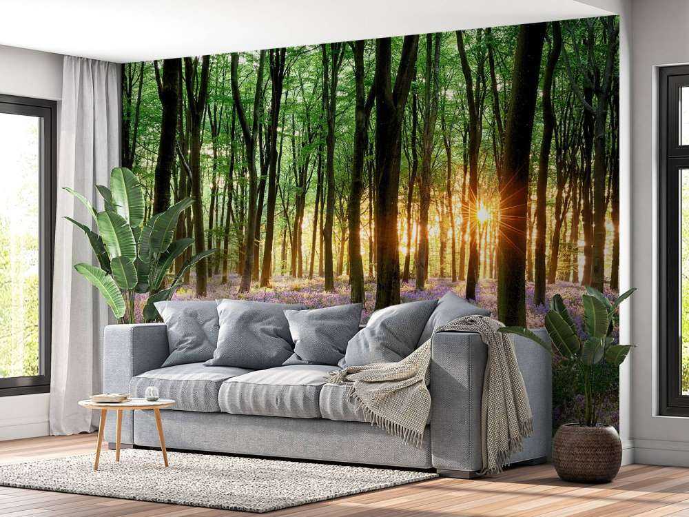 Chemin forestier au lever du soleil