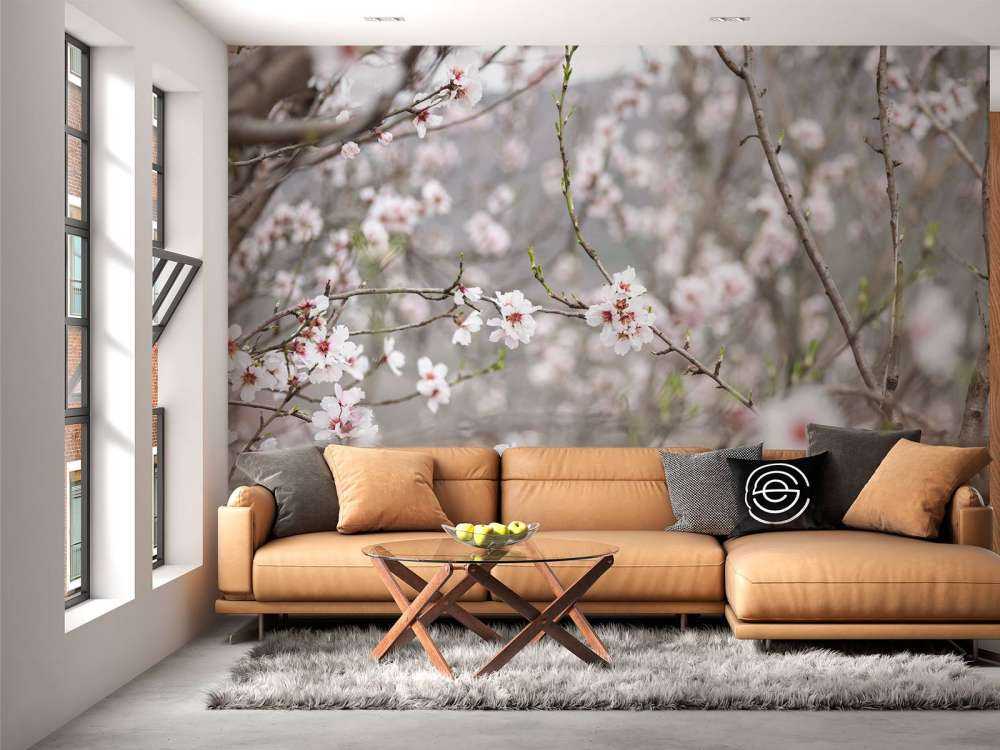 Fleurs roses et blanches