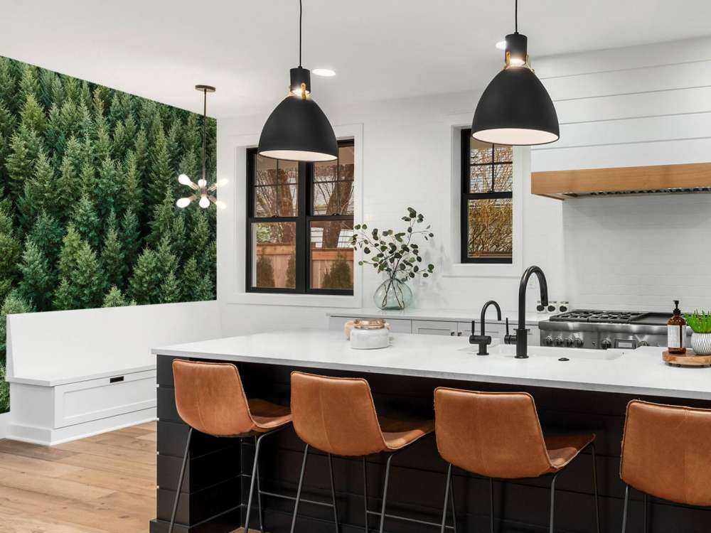 Les sapins de Douglas vus d'en haut