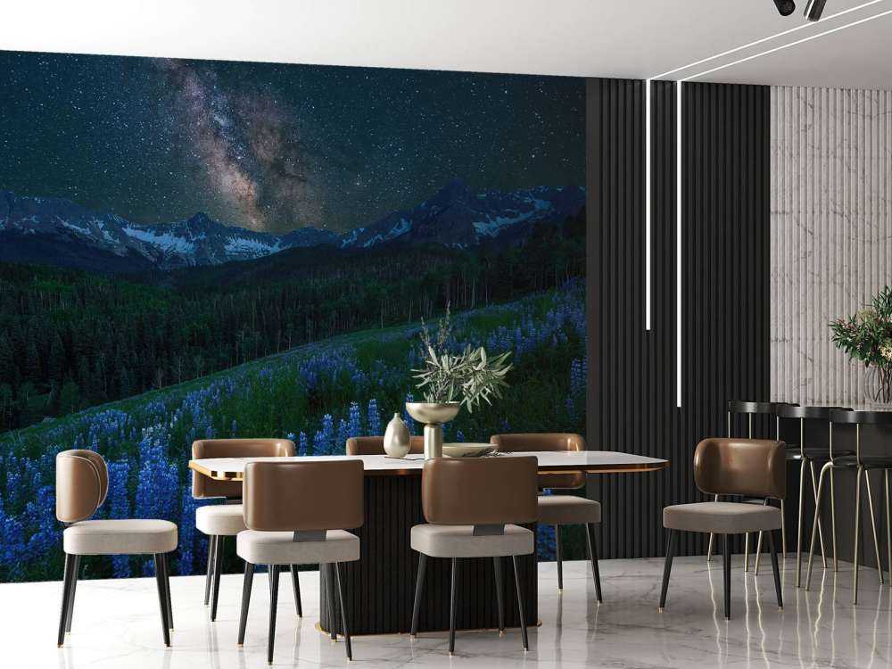 Milky Way over Lupine Slope