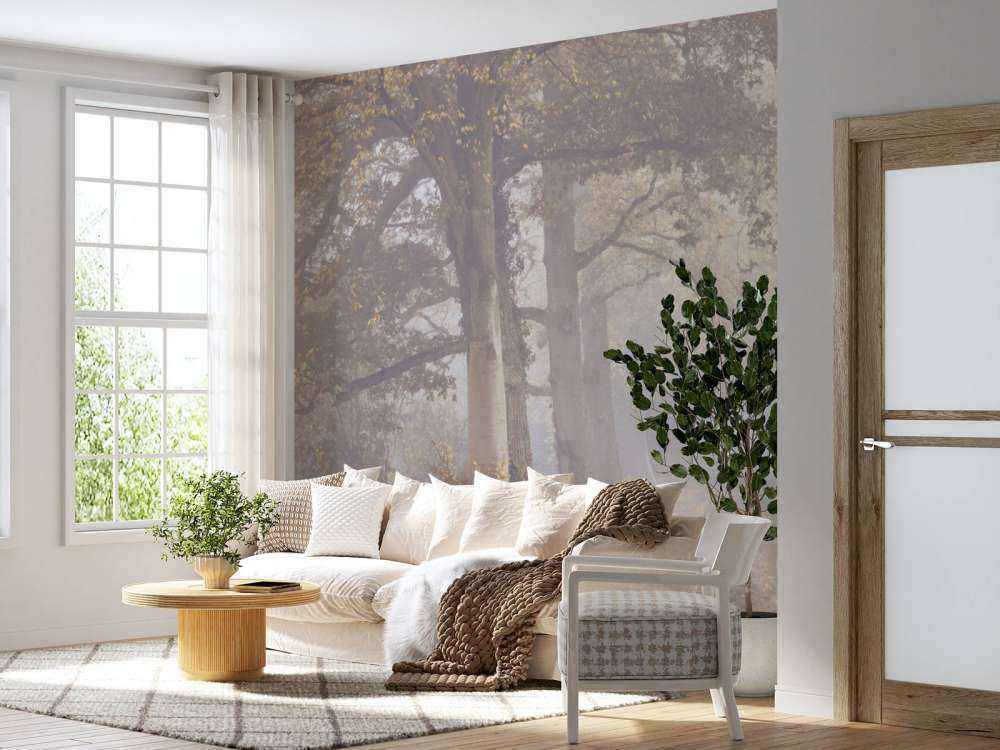 Route brumeuse avec des arbres