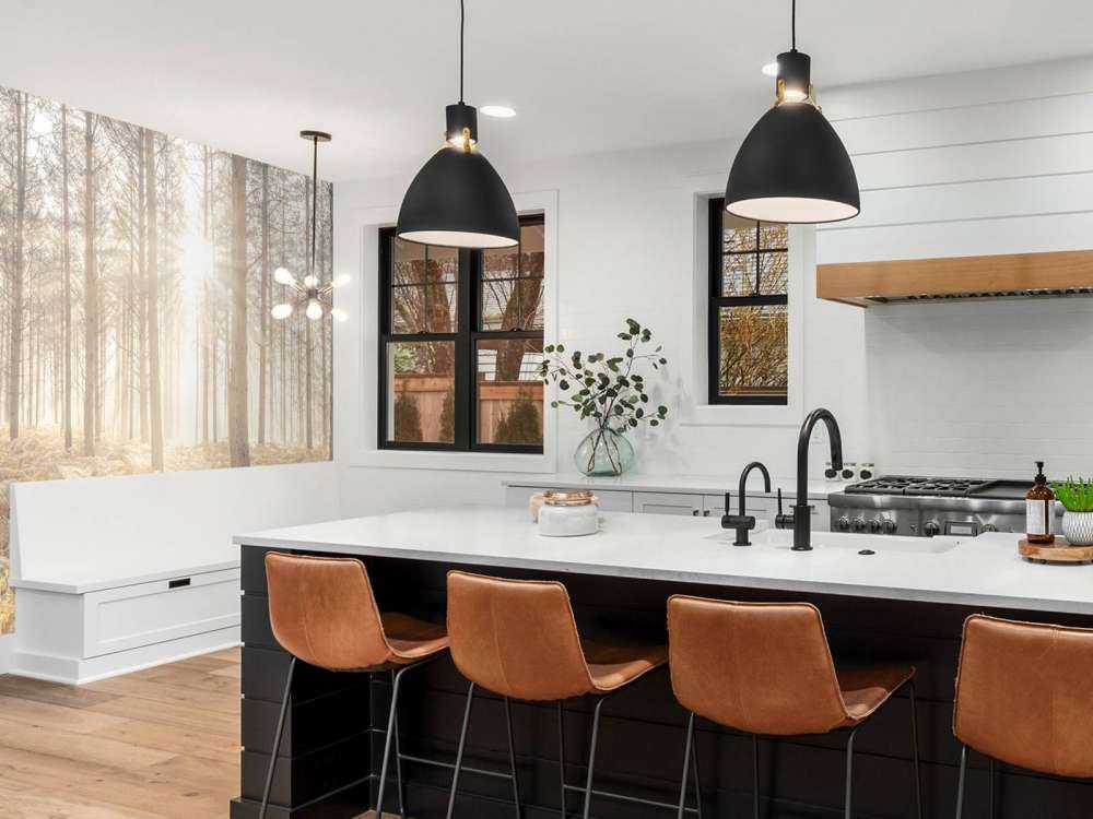 Rayons de soleil dans une forêt froide