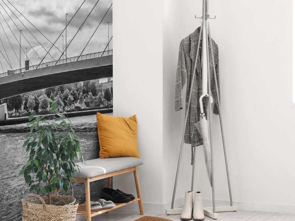 Le passage du pont Prince Willem Alexander à Rotterdam en noir et blanc  