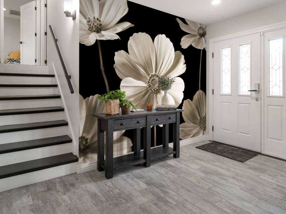 Plusieurs fleurs de cosmos