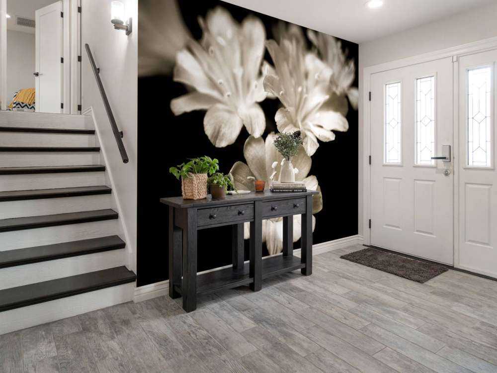 Fleur de lewisia en gros plan