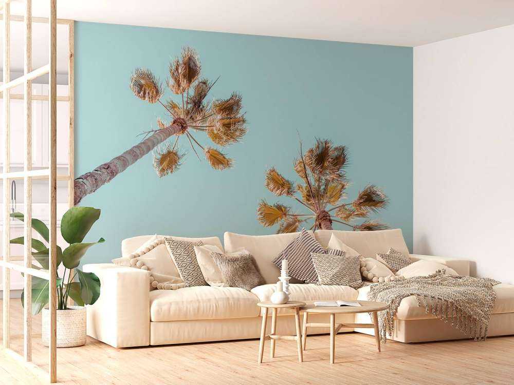 Palmiers avec ciel bleu