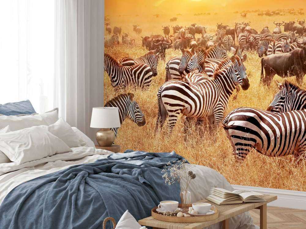 Soleil de la savane avec des zèbres
