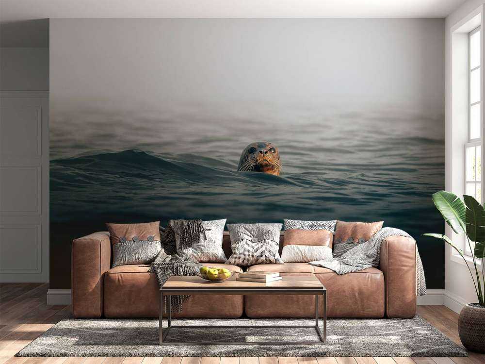 Un phoque au large des côtes danoises