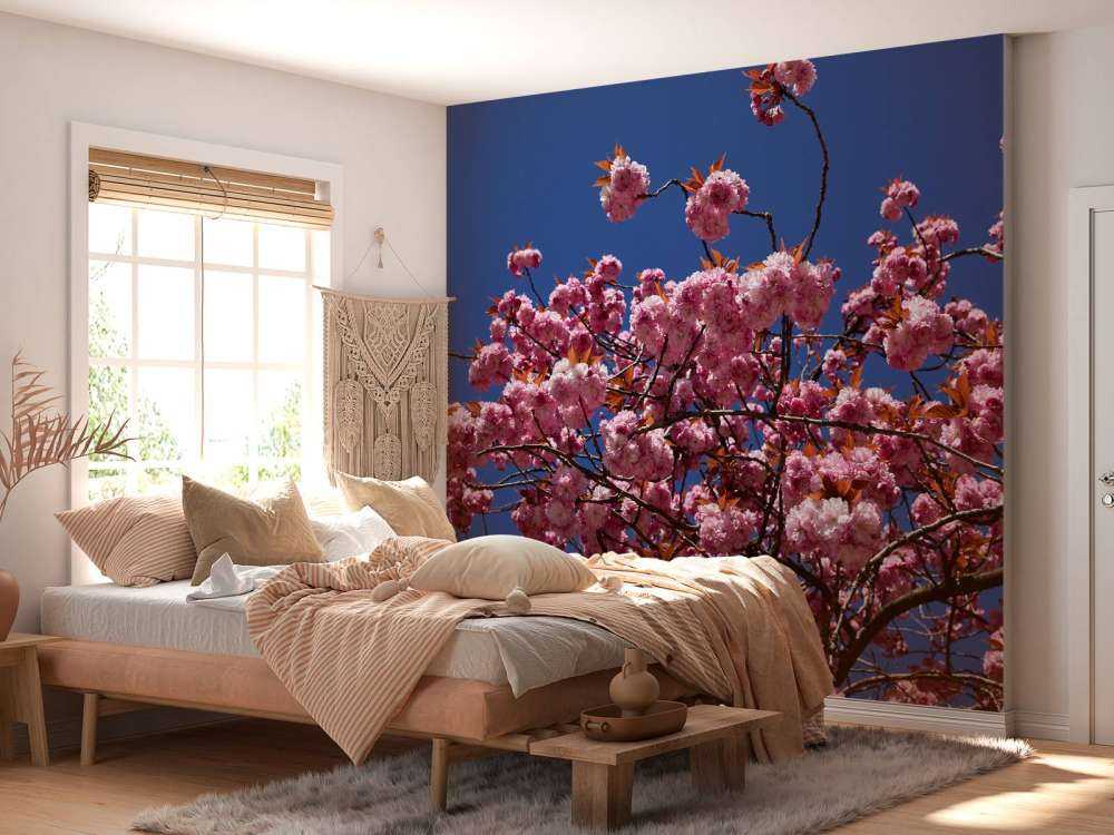 Fleur rose avec ciel bleu