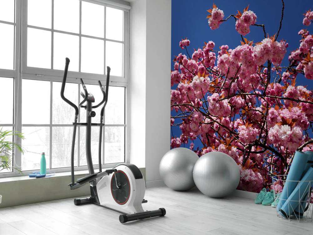 Fleur rose avec ciel bleu