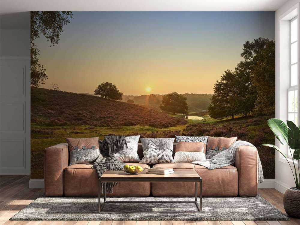 Flaque d'eau sur la lande