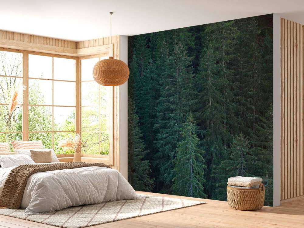 Conifères avec pommes de pin