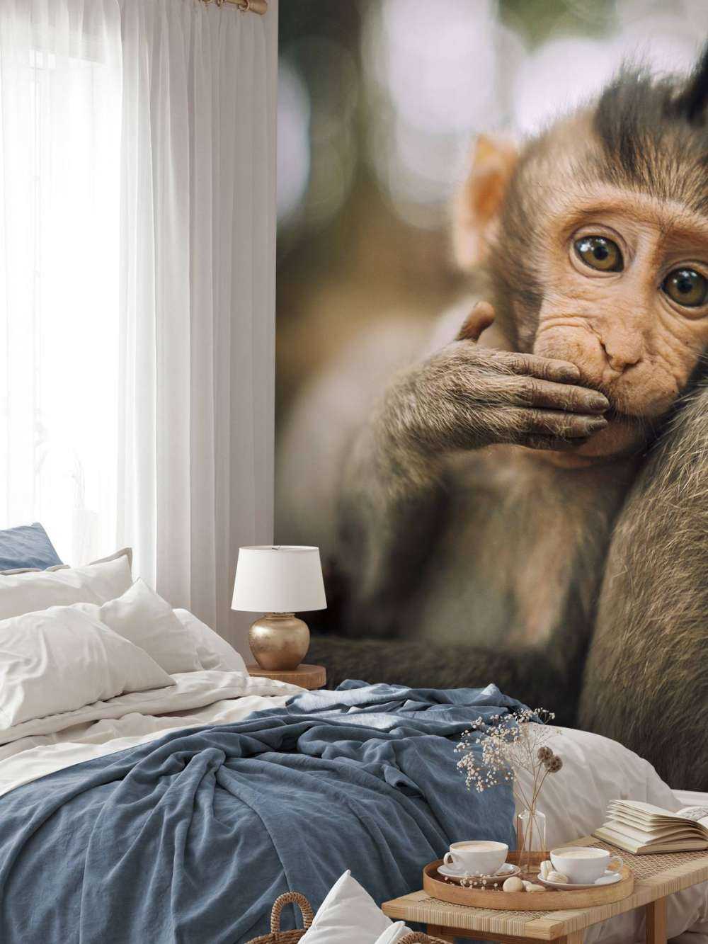 Gros plan d'un petit singe