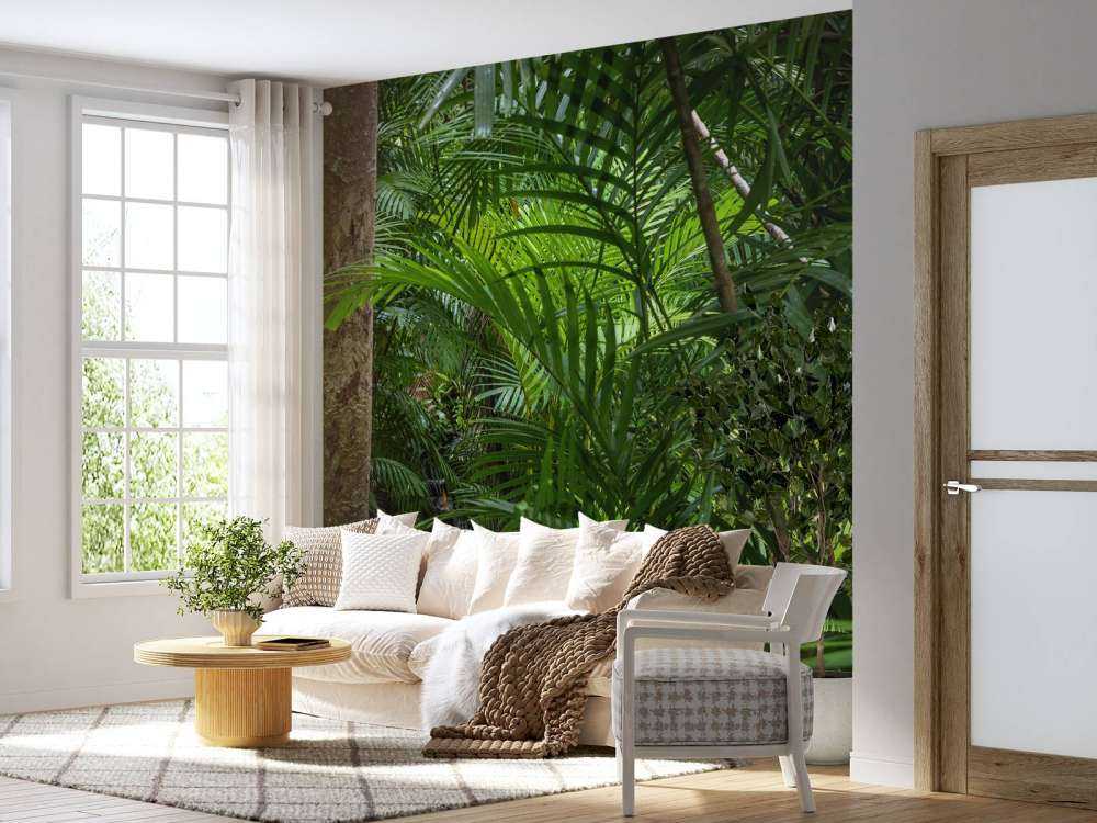 Forêt tropicale humide