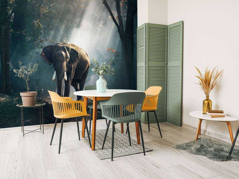 Éléphant dans une jungle