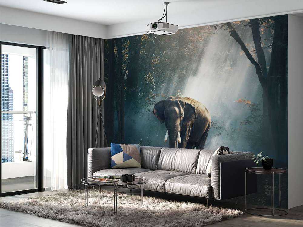 Éléphant dans une jungle