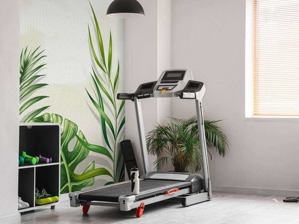 Illustration de feuilles