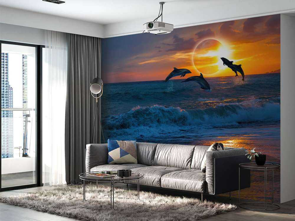 Dauphins au coucher du soleil