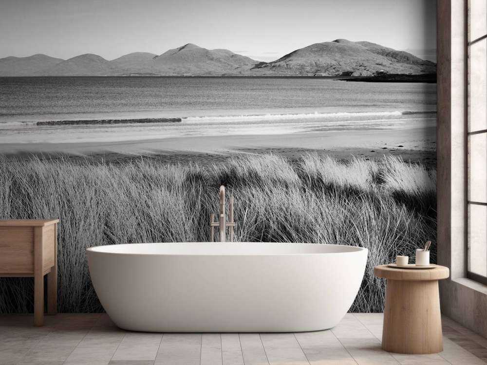 L'herbe de dunes, plage en montagne