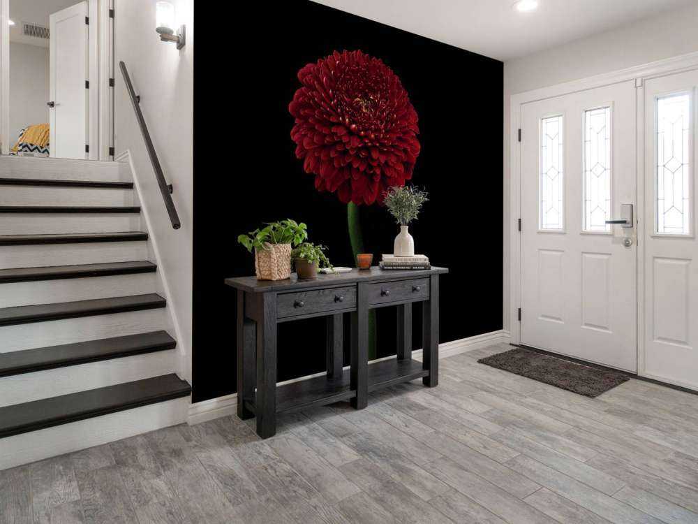 Fleur rouge sur la tige