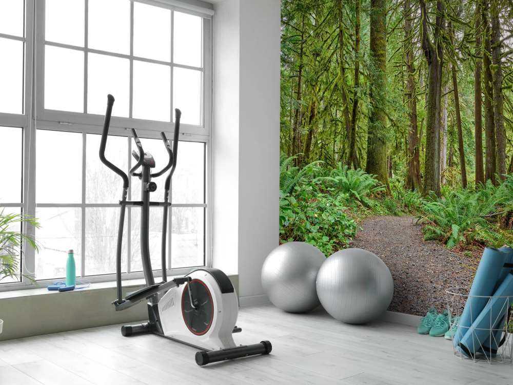 Sentier en pierres à travers la forêt