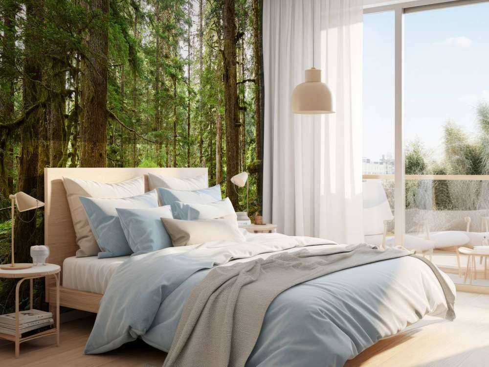 Forêt verte sauvage