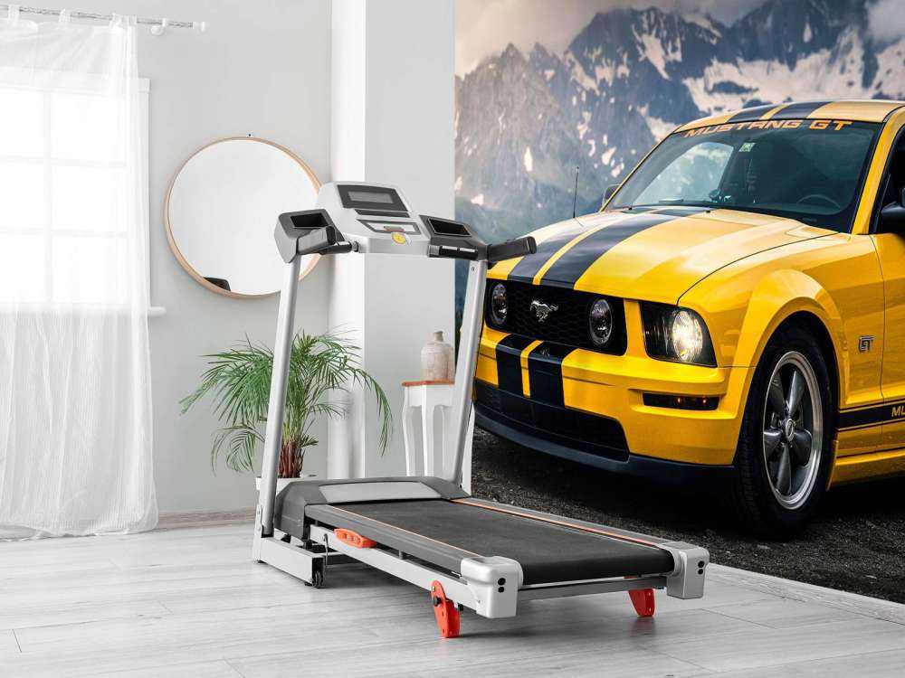 Mustang gelé dans un paysage montagneux