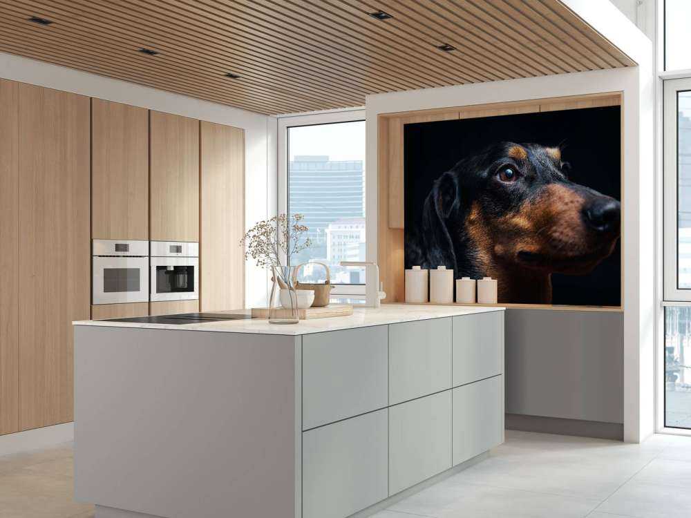 Portrait de fier teckel